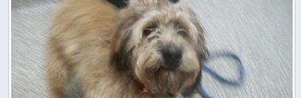 Too cute to be homeless!