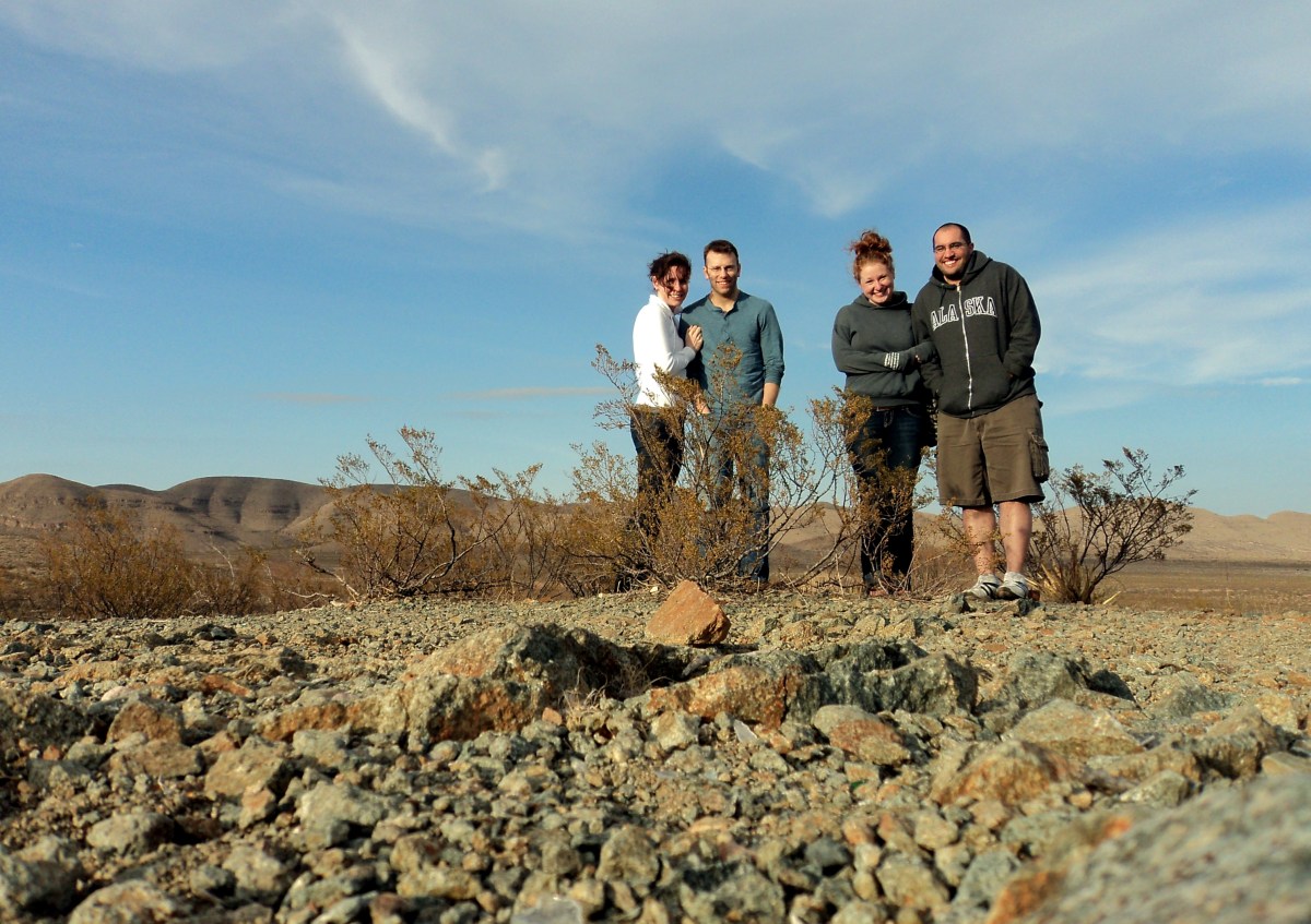 Road trip companions