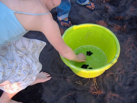 Choosing Marty from the masses