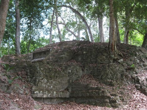 Tikal unexcavated ruins, Guatemala