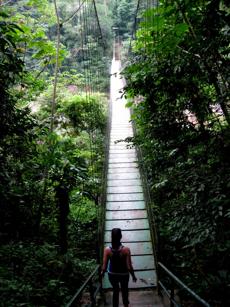 A walking bridge over the river.