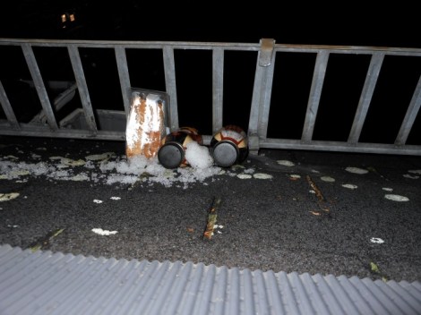 Food on a snowy roof in Frankfurt, Germany.