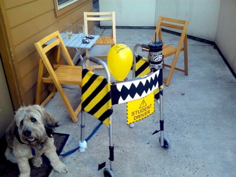 Andy's walker modifications.